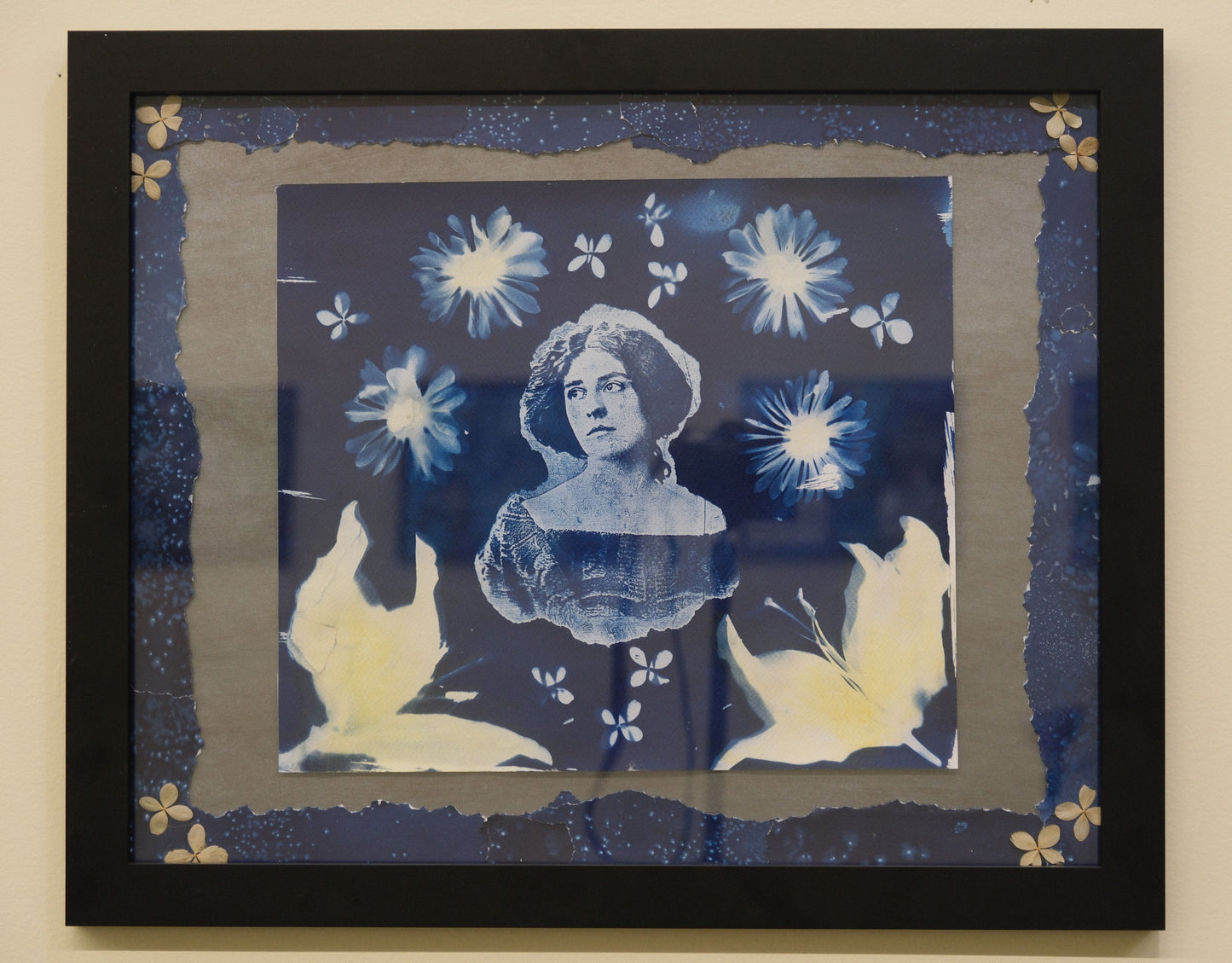 Stargazer